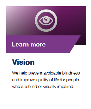 Vision Block