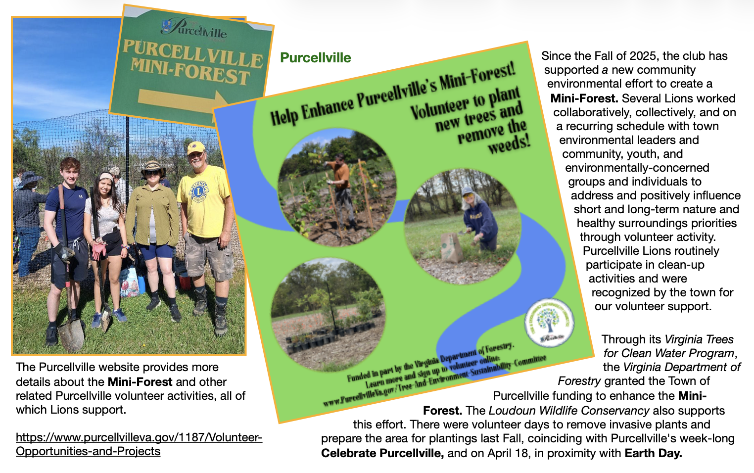 Purcellville Mini-Forest