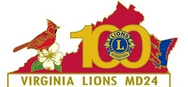 Lions of virginia pin
